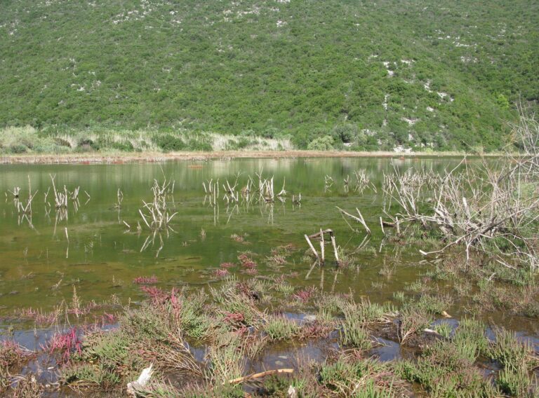 IMG_0612 (Copy)