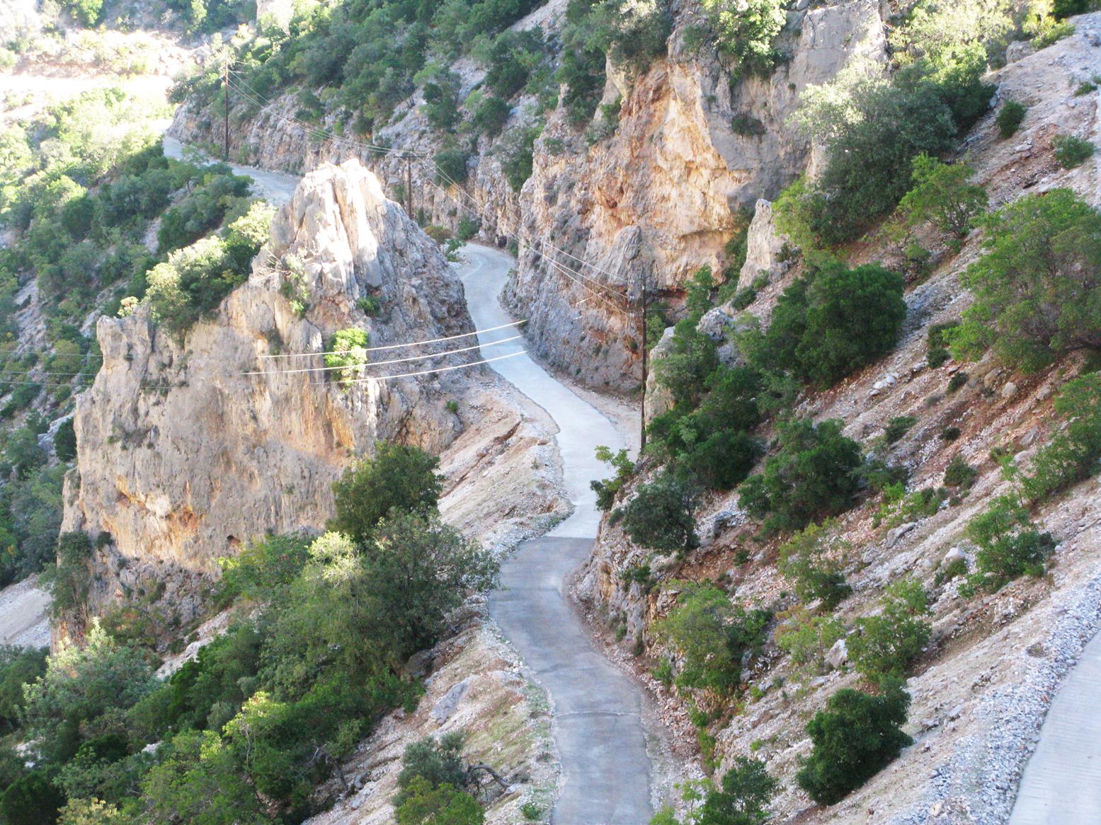 IMG_2573 (Copy)