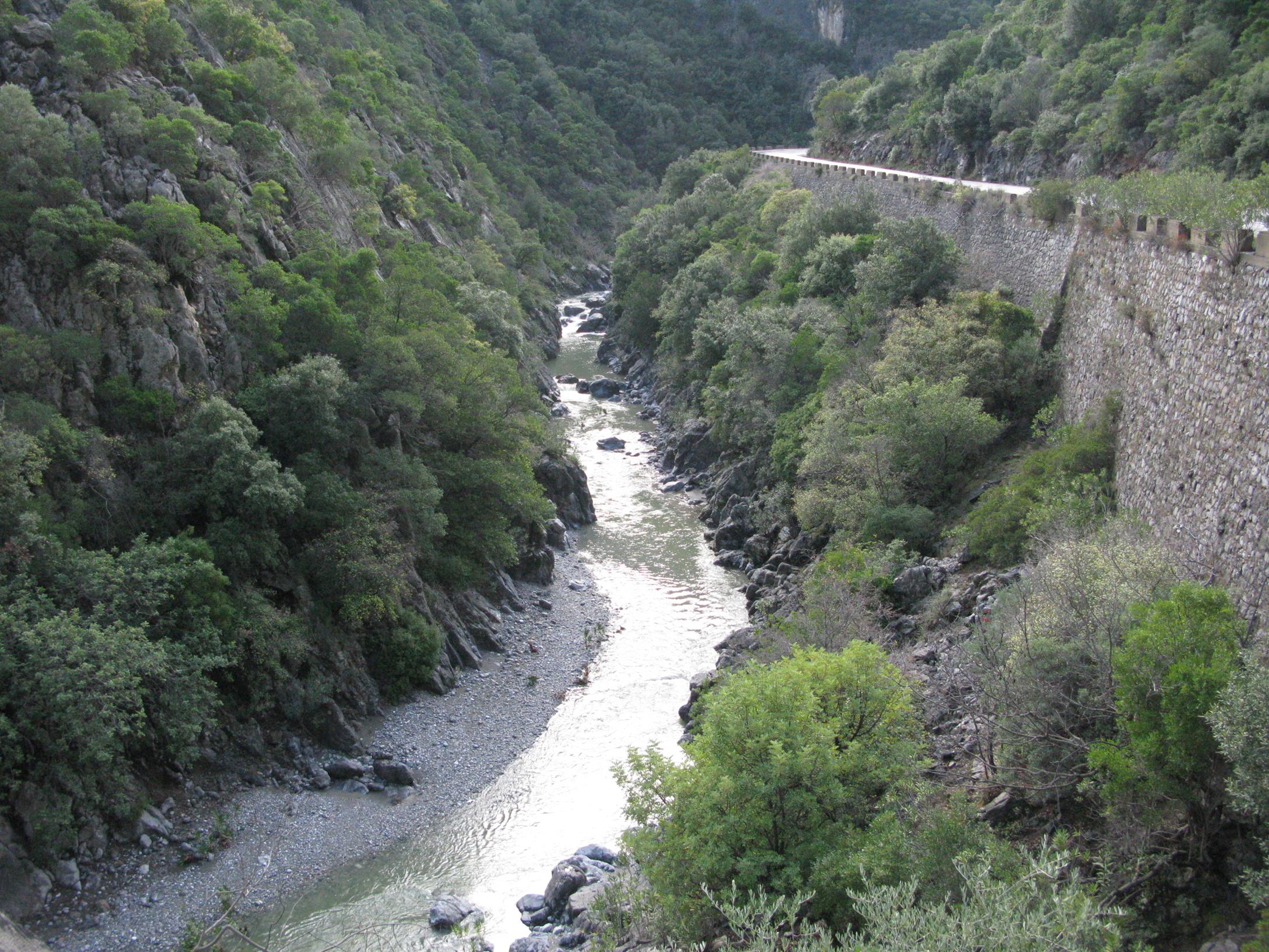 IMG_2737 (Copy)