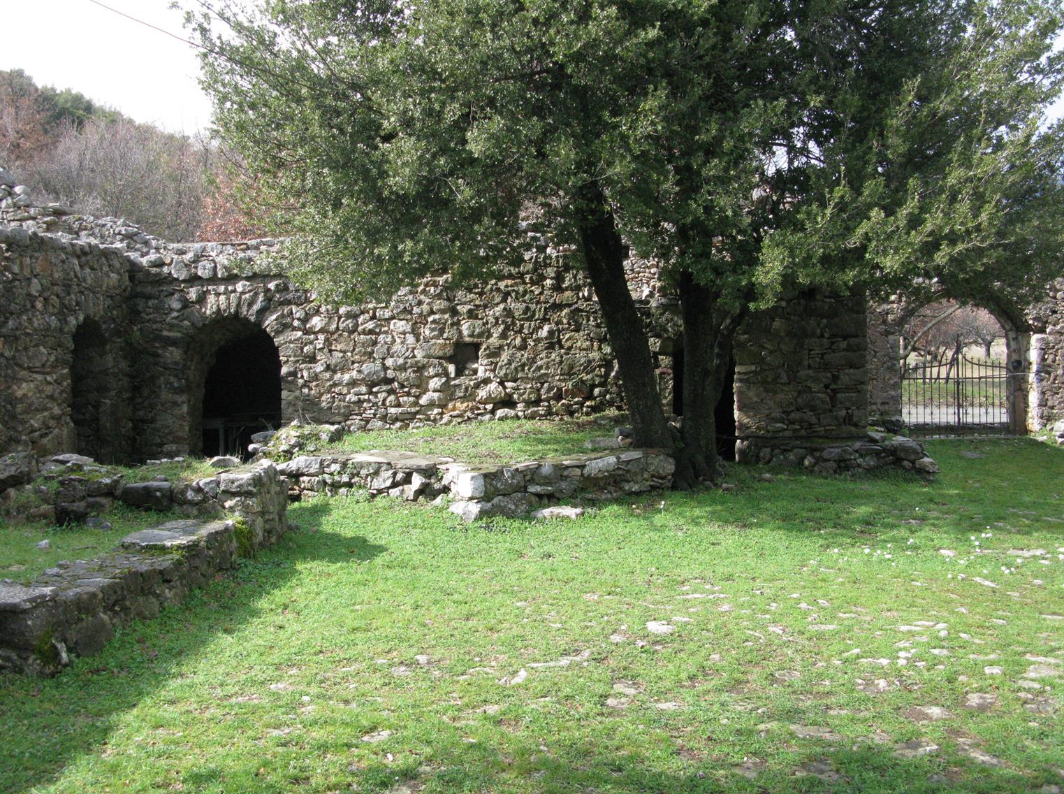 IMG_2753 (Copy)