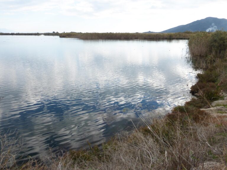 Moustos biotope (Copy)