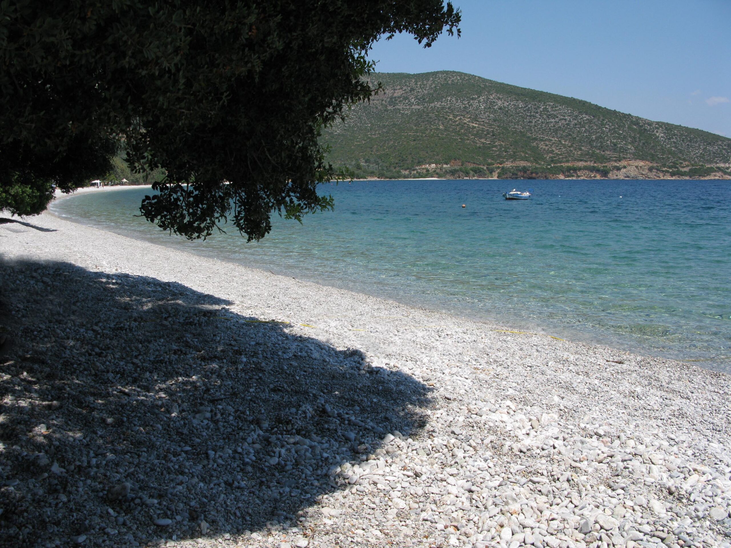 Zaritsi1