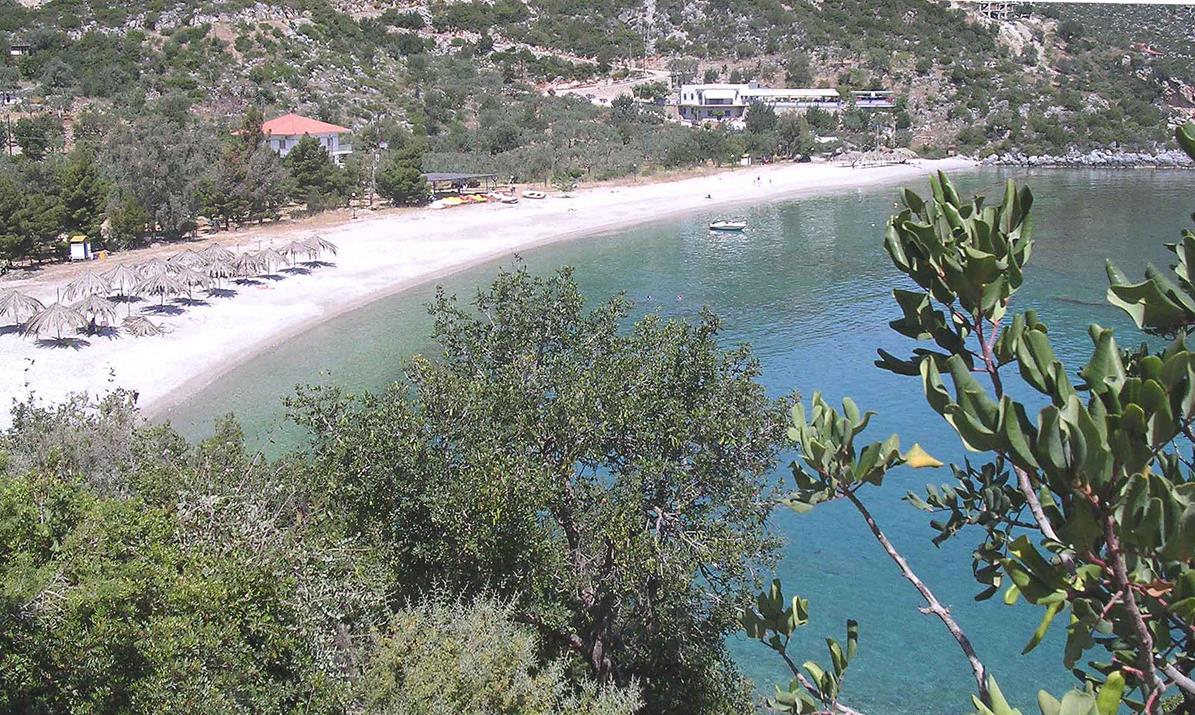 Τηγάνιι (Copy)
